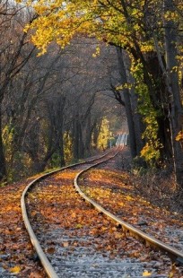 Обложка книги Приключений становится меньше? Зато размышлений - больше!