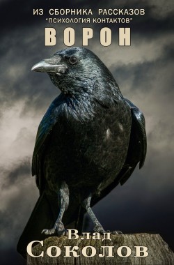 Обложка книги Ворон