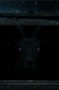 Обложка книги Тот, кто смотрит по ночам