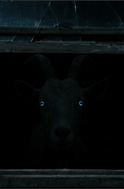 Обложка книги Тот, кто смотрит по ночам