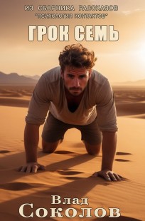 Обложка книги Грок семь