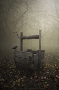 Обложка книги Волшебный колодец