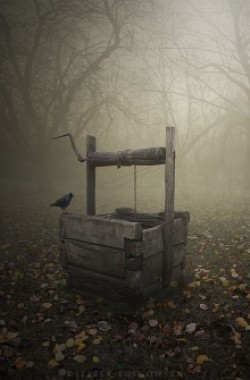 Обложка книги Волшебный колодец