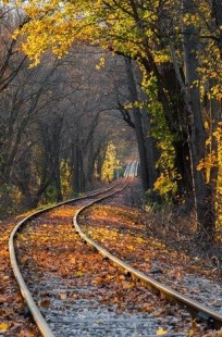 Обложка книги Перлы, приколы, афоризмы, и казусы, случившиеся на работе.