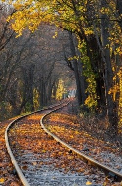 Обложка книги Перлы, приколы, афоризмы, и казусы, случившиеся на работе.