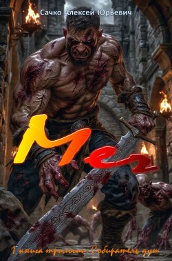 Обложка книги Меч