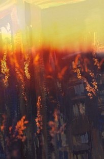 Обложка книги Дети в саду