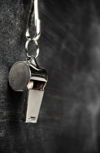 Обложка книги Физрук