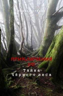 Обложка книги Приключения ДД. Тайна Чёрного леса