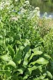 Обложка книги Александр Посохов "Хрен им, а не Москва"