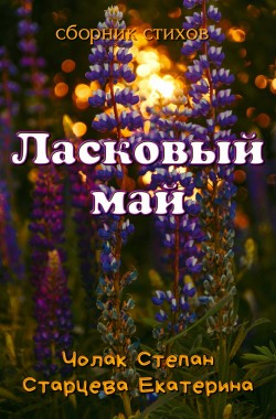 Обложка книги Ласковый май