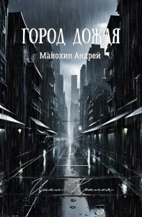 Обложка книги Город Дождя
