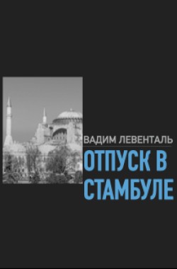Обложка книги Отпуск в Стамбуле