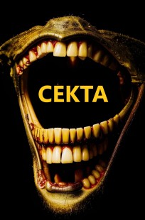 Обложка книги Секта