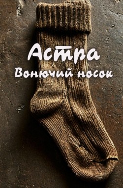 Обложка книги Вонючий носок