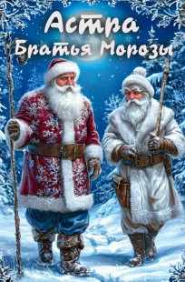 Обложка книги Братья Морозы