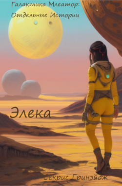 Обложка книги Элека