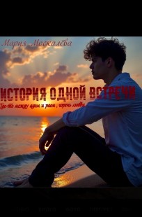 Обложка книги История одной встречи