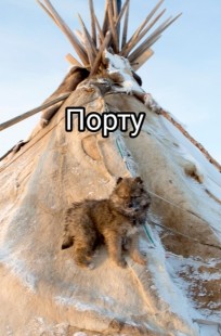 Обложка книги Порту
