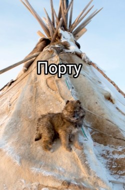 Обложка книги Порту
