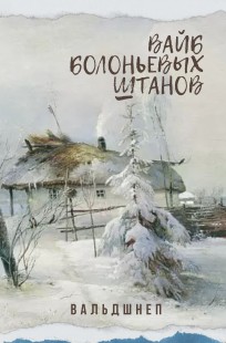 Обложка книги Вайб болоньевых штанов