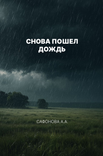 Обложка книги Снова пошел дождь