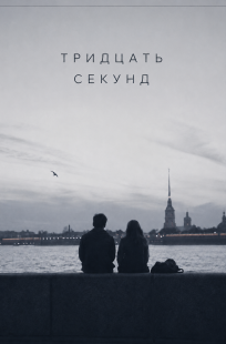 Обложка книги Тридцать секунд