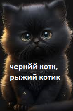 Обложка книги Черный котик, рыжий котик
