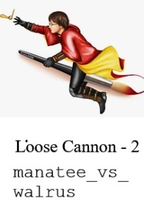 Обложка книги Loose Cannon часть 2