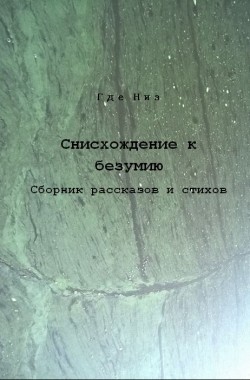 Обложка книги Снисхождение к безумию