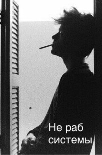 Обложка книги Не раб системы