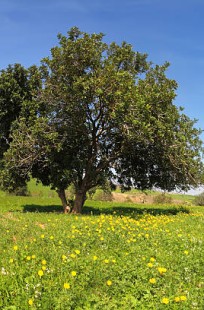 Обложка книги Философские басни Посохова