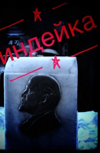 Обложка книги Индейка