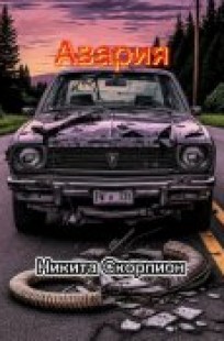 Обложка книги Авария