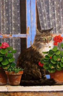 Обложка книги Не могу забыть кошку