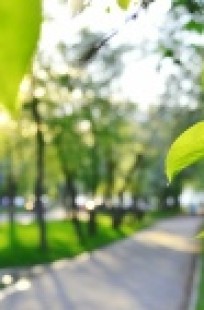 Обложка книги Аллея для двоих