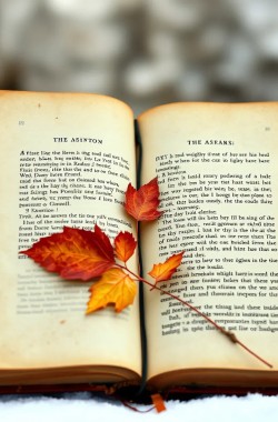 Обложка книги Тайна старой книги