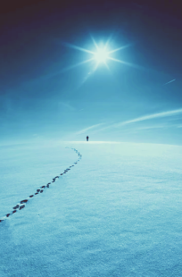 Обложка книги Про Метанг