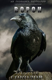 Обложка книги Ворон