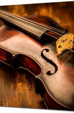 Обложка книги Скрипач не нужен