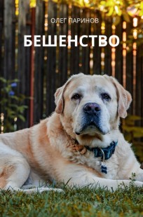 Обложка книги Бешенство