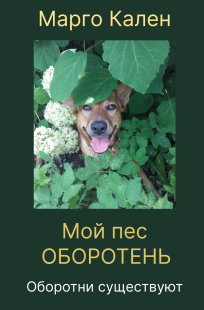 Обложка книги Мой пес оборотень