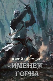 Обложка книги Именем Горна