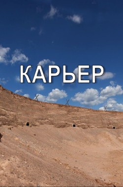 Обложка книги Карьер