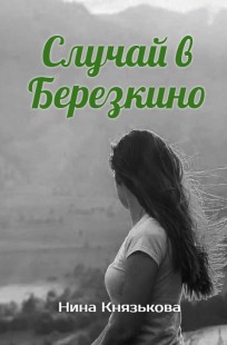 Обложка книги Случай в Березкино