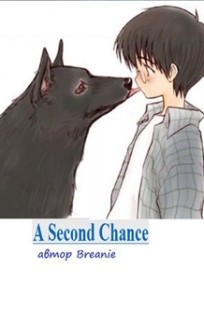 Обложка книги A Second Chance часть 2