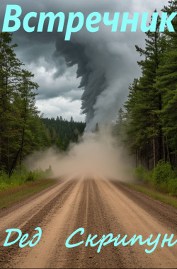 Читать онлайн Встречник Обложка книги Встречник