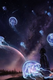 Обложка книги Мои сны