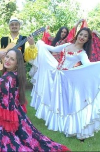Обложка книги Песня ветра и звёзд