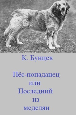Обложка книги Пёс-попаданец, или Последний из меделян.